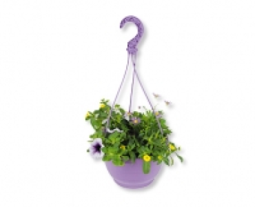 GARDENLINE® Sommerflor Ampeln