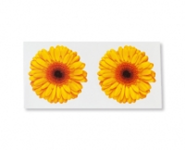 Motiv-Fliegenk&ouml;der CHF&nbsp;2.99