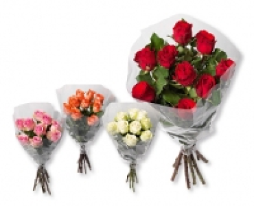 GARDENLINE&reg; Fairtrade Max Havelaar Langstielrosen CHF&nbsp;9.99