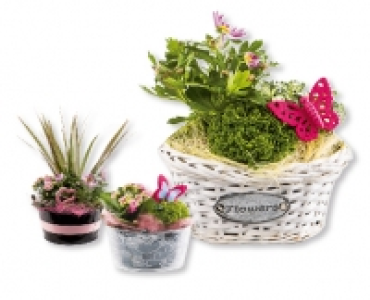 Muttertagspflanzen-Arrangement