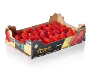 Premium Erdbeeren