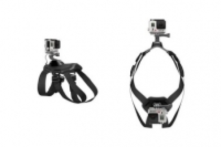 GoPro Fetch Dog Halterung