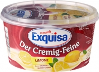 Exquisa Früchtequark