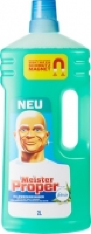 Meister Proper Allzweckreiniger CHF 4.45