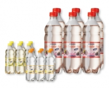 WELL&ACTIVE Wasser Plus light