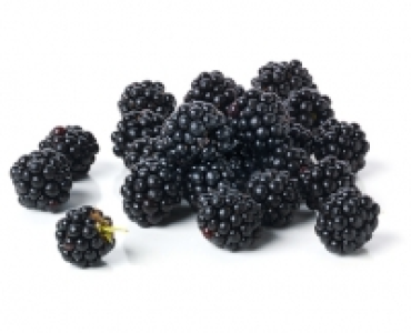 Brombeeren CHF 4.99