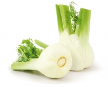Fenchel CHF 1.99