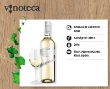 SANTA LUZ Sauvignon Blanc