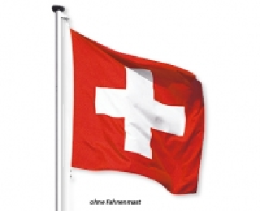 Schweizerfahne CHF 7.99