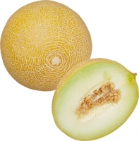 Denner  Melonen Galia