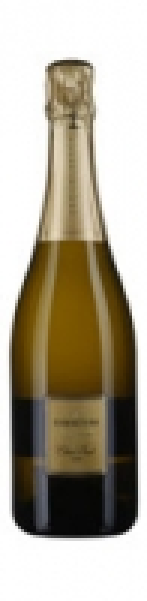 Franciacorta DOCG Extra Brut La Ferghettina 2009