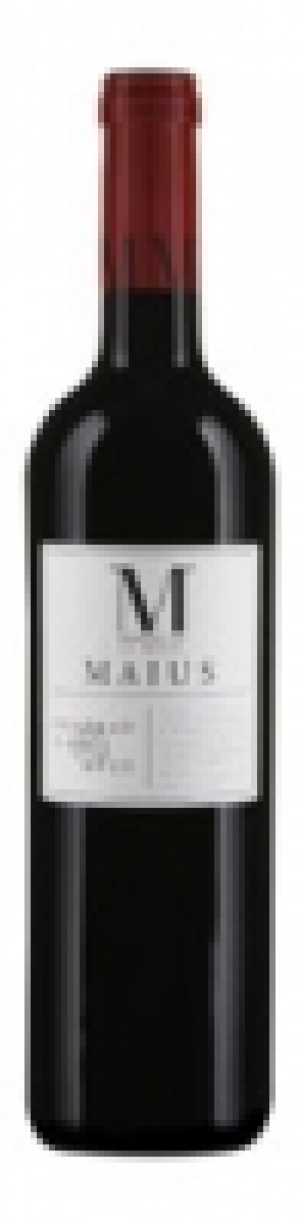 Priorat DOQ Barranc de la Bruixa Maius 2011