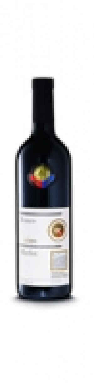 Ticino DOC Merlot Ronco VITI 2013
