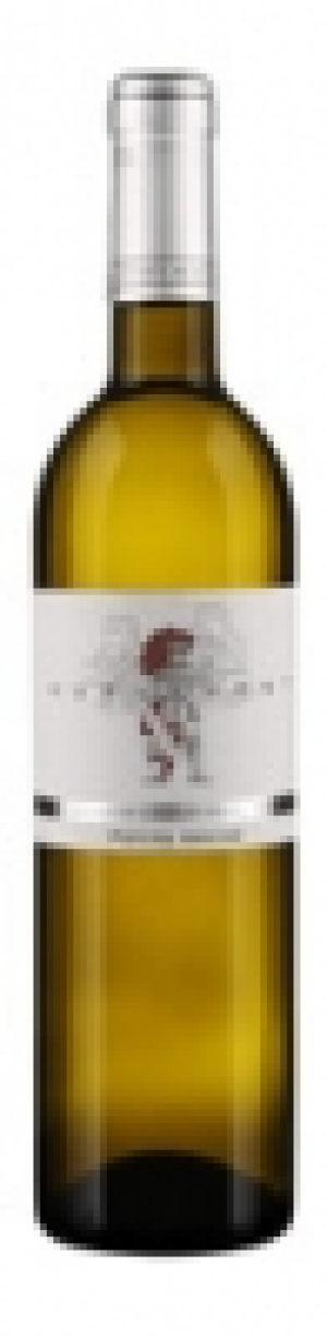 Valais AOC Petite Arvine Hurlevent 2016 CHF&nbsp;18.95