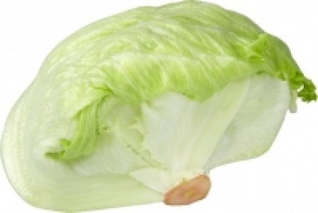 Eisbergsalat CHF 1.25