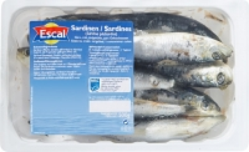 Escal Sardinen