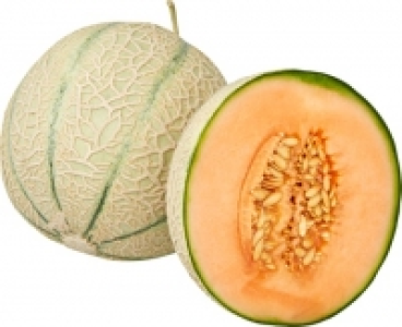 Melonen Charentais CHF 1.95