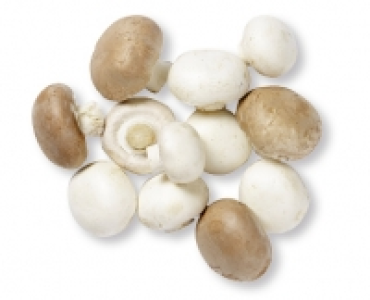 Aldi Suisse  Champignons