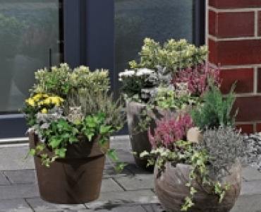 Herbstliche Töpfe CHF 17.99
