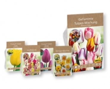 Blumenzwiebeln CHF 2.99