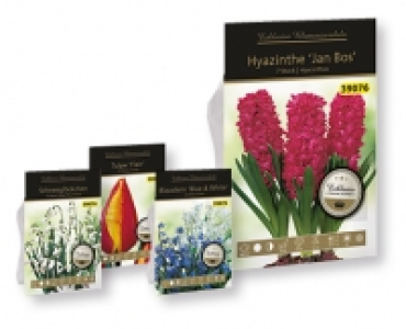 Exklusive Blumenzwiebeln CHF 3.49