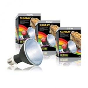 Qualipet  Metalldampflampe SunRay 70W