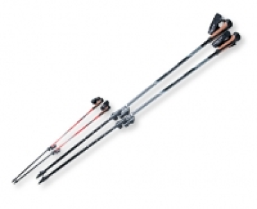 ADVENTURIDGE® Nordic-Walking-Stöcke CHF 19.99
