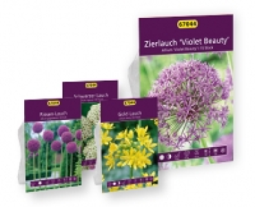 Blumenzwiebeln Zierlauch CHF 3.99