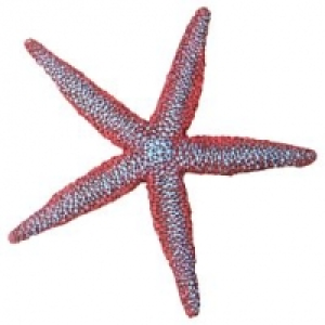 Dekor Seestern violett 14.5x14.5x1.5cm