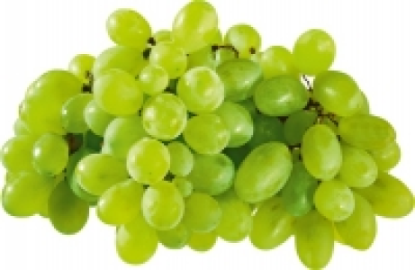 Trauben weiss CHF 2.50