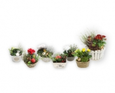 GARDENLINE® Herbstarrangements