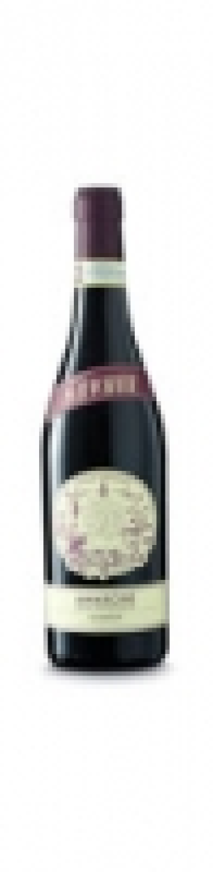 Amarone di Valpolicella DOCG Novare 2013