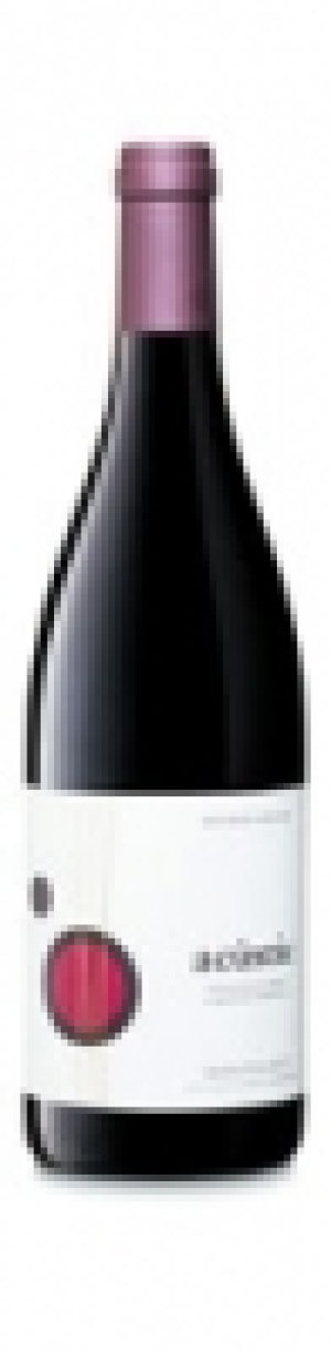 Montsant DO Tinto Acústic Celler 2015 CHF 95.40