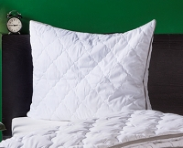 MY LIVING STYLE Kissen SILVERPLUS® CHF 14.99