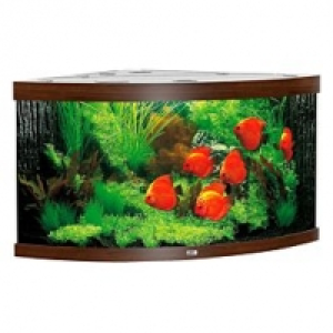 Qualipet  Aquarium Trigon 350