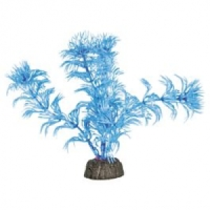 Nano Pflanze blau 12cm