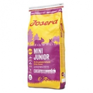 Mini Junior