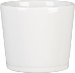 Übertopf Alaska CHF 3.95