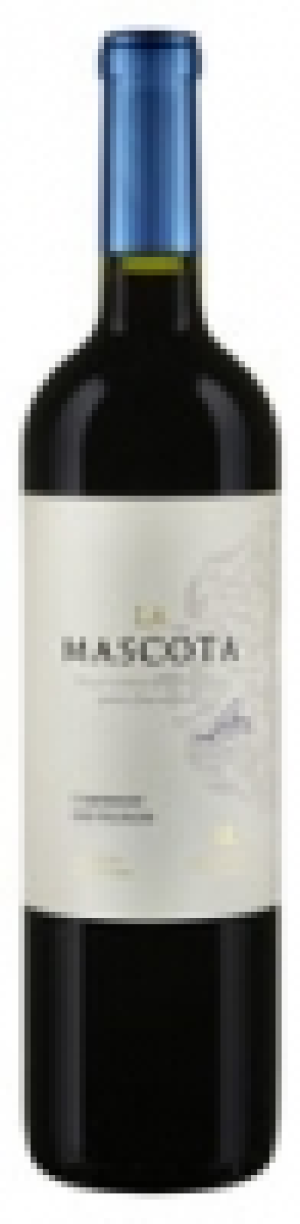 Cabernet Sauvignon Mendoza La Mascota 2015