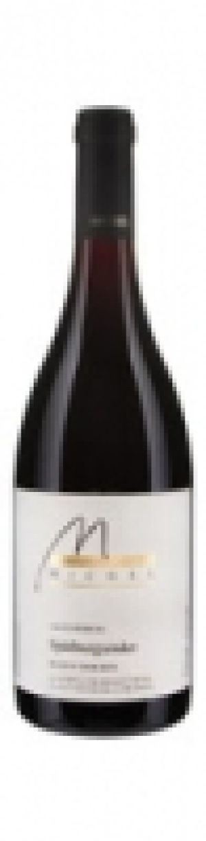 Baden Sp&auml;tburgunder Alte Reben Weingut Michel 2015