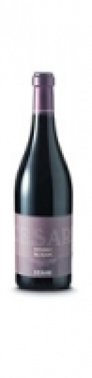 Ripasso della Valpolicella Superiore DOC Bosan Cesari 2014