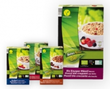 NATURE ACTIVE BIO Bio-Knusper Muesli