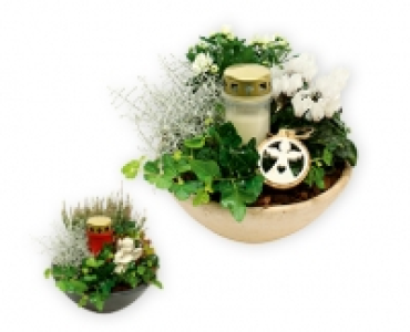 Bepflanzte Grabschale