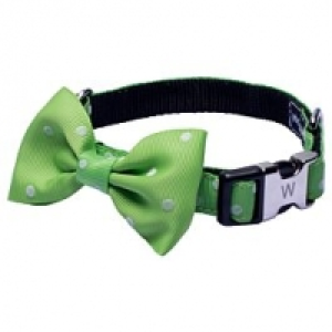 Hundehalsband Fliege grün CHF 11.50