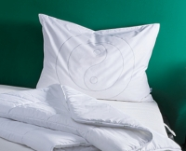 MY LIVING STYLE Feng Shui-Kissen CHF 29.90