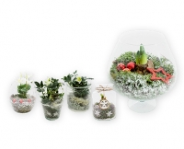 Weihnachtliches Glasarrangement CHF 12.99
