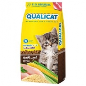 Kitten Geflügel Trockenfutter
