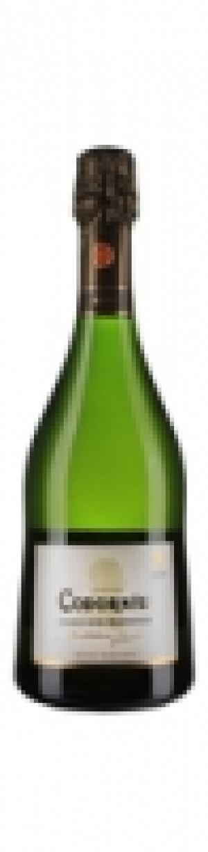 Mondovino  Codorníu Selección Raventós brut