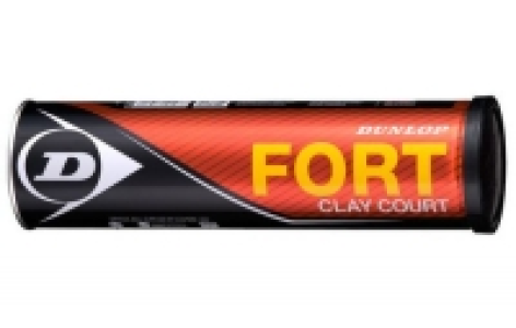 Tennisball Fort Clay Court