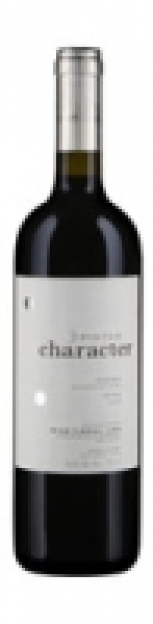 Douro DOC Character Pintas Wine&Soul 2008